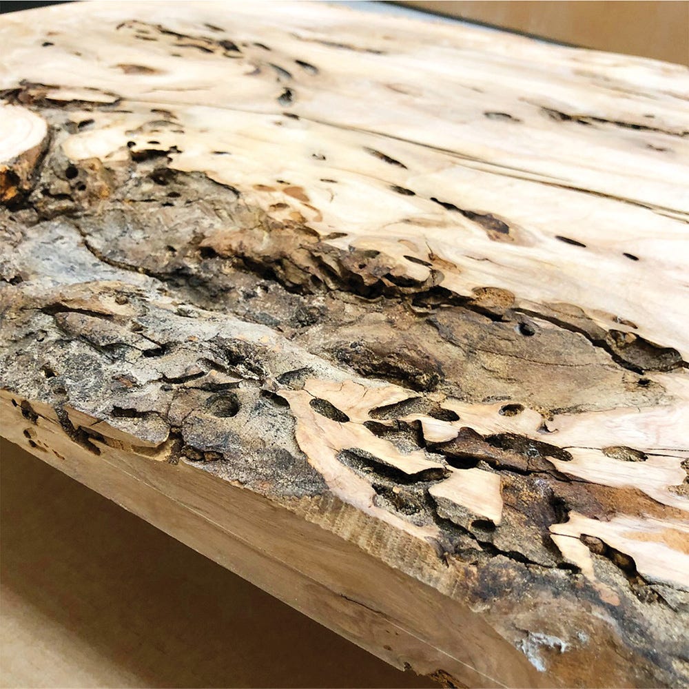 Make Wood Good  Clear Penetrating Epoxy Sealer Hardener