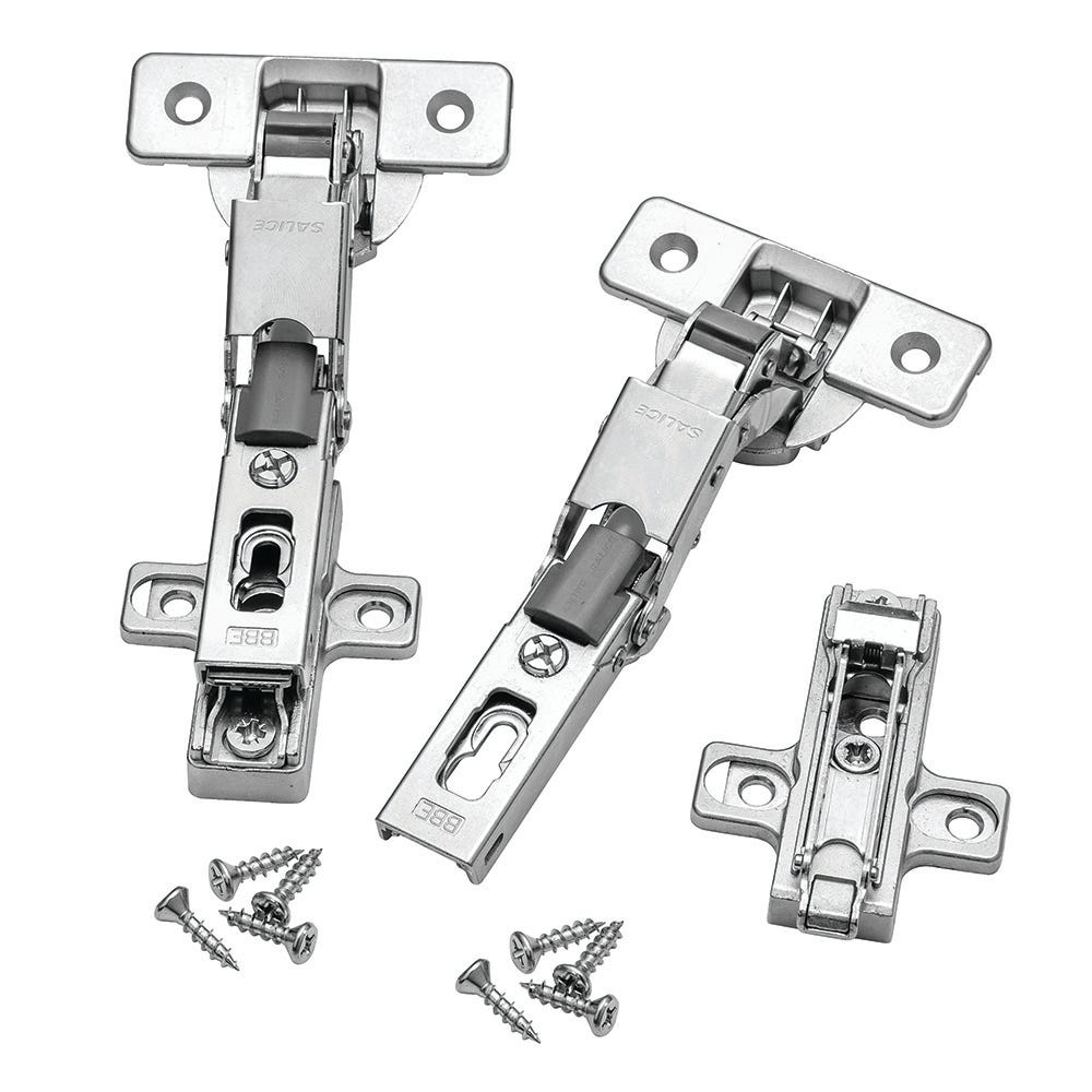 Rockler door best sale hinges